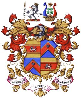The Arms of Dr John
                                                F. Mueller