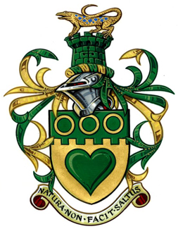 The Arms of Mauro
                                                Jason Raco
