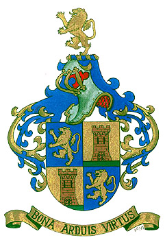 The Arms of
                                                Mainardo Benardelli de
                                                Leitenburg