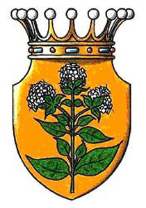 The Arms of Noble
                                                Ivan B.
                                                Mazuranic-Jankovic of
                                                the Counts Mazuranic