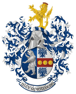 The Arms of Ioannis
                                                Mitsikas