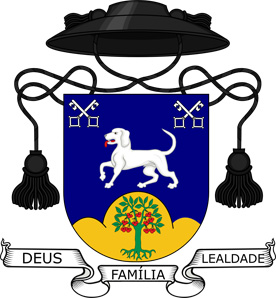 The Arms of
                                                Francisco Salvado Leal