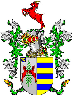 The Arms of Jose
                                                Miguel Candeias Cabrita
                                                Matias