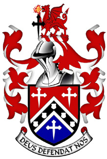 The Arms of Derick
                                                Lamont Wright
